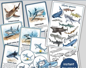 May include: Educational cards and illustrations about sharks, including species like the leopard shark, great white shark, and hammerhead shark. The cards feature detailed drawings and the text "Sharks species and lifecycle" and "Instant Download".