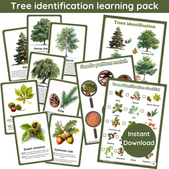 Tree Identification Labels 