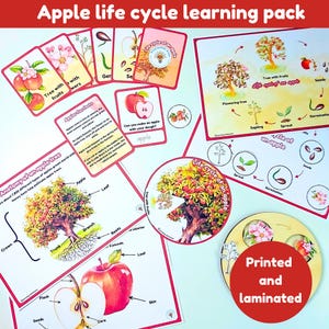 Pack d'apprentissage du cycle de vie Apple | cartes mémoire | Anatomie d'un pommier et de morceaux de pommier| roue cycle de vie | imprimé et plastifié