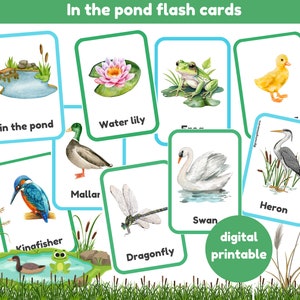 In de vijver flashcards | 20 flashkaarten | Flash-kaarten voor vijverleven | montessori| Digitale printables