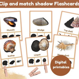 Recorta y combina tarjetas de sombras de conchas, tarjetas de conchas, 15 tarjetas, imprimibles digitales