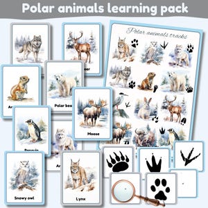 Paquete de aprendizaje de animales polares / huellas de animales / póster A4 / tarjetas didácticas del Ártico / eyfs / acuarela / digital / descarga instantánea