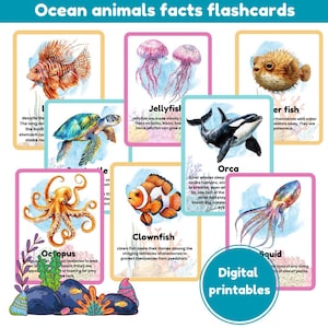 Fiches descriptives sur les animaux marins | flashcards animaux de l'océan | Flashcards sur la vie marine | montessori | impressions numériques