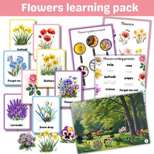 Pack d'apprentissage Fleurs de printemps | 20 cartes mémoire | printemps | fleurs| fiches d'activités | numérique imprimable | téléchargement immédiat
