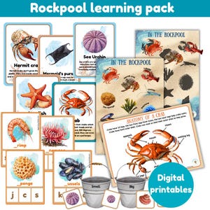 Pack d'apprentissage Rockpool | 13 fiches d'informations | 13 cartes son pour débutants | anatomie d'un crabe | piscine rocheuse | fiches d'activités | impression numérique