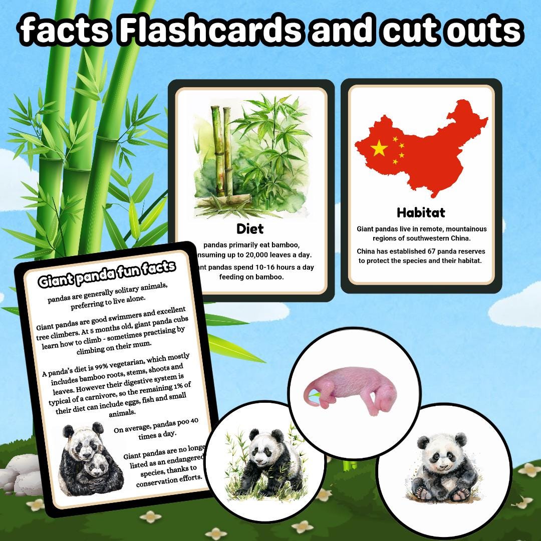 Pandaページ Panda Educational Wildlife Flipbook – Flipworkz Flipshop
