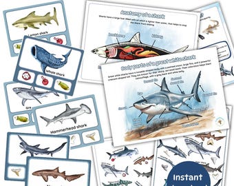 All about sharks learning pack | anatomy | teeth identification | reproduction startegies | shark fun craft | digital printables