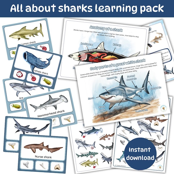 All About Sharks Printable | Shark Learning Pack | Montessori Ocean Unit | Homeschool Science Activities | Shark PDF  | instant download