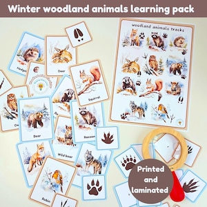 Pacote de aprendizagem sobre animais da floresta de inverno | flashcards | pegadas | cartões de trilhas | atividade de lupa | pôster A4 | impresso e laminado
