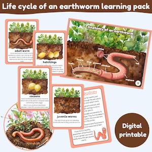 Ciclo di vita di un lombrico pacchetto didattico / grafici, ruota e schede didattiche / verme / / anatomia di un lombrico / cicli di vita / stampabili digitali