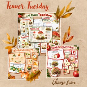 May include: Educational printable sets featuring the life cycles of toadstools, pumpkins, and apple trees. The sheets include diagrams, anatomy charts, and observation cards with illustrations of mushrooms, orange pumpkins, and red apples on white paper.