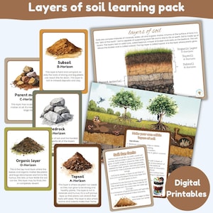 Pack d'apprentissage Layers of soi | cartes mémoire | faits et fiches de recettes comestibles | tapis de pâte | 3 couches de cartes de sol | téléchargement instantané| numérique