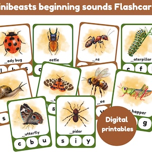 Schede didattiche di fonetica Minibeasts / Schede didattiche dei suoni iniziali / Schede didattiche degli insetti / 15 schede / stampabili digitali