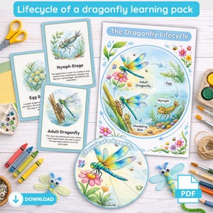 May include: A learning pack about the lifecycle of a dragonfly. The image includes cards with illustrations of the egg, nymph, and adult stages. A circular diagram shows the dragonfly lifecycle. Crayons, paintbrushes, and a dragonfly craft are also visible.
