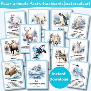 北極の動物に関する事実カード | フラッシュカード 20 枚と表紙のセット | 北極の動物 | 水彩イラスト | デジタル | すぐにダウンロード