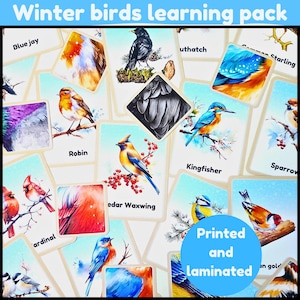 Lernpaket Wintervögel| 20 Karteikarten | Musterübereinstimmung | 2 Wintervögel Poster und Jagd Blätter | Garten Vogelbeobachter| gedruckt und laminiert