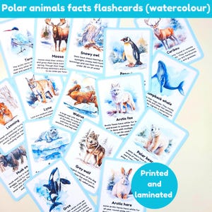 Fiches éclair sur les animaux polaires | 20 cartes mémoire | Animaux de l'Arctique | illustrations aquarelles | imprimé et plastifié