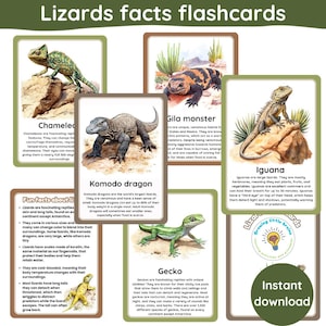 Puede incluir: Tarjetas educativas con varios lagartos, incluyendo un camaleón, dragón de Komodo, iguana y gecko. Las tarjetas tienen datos sobre cada lagarto y el texto "Lizards facts flashcards". La imagen también incluye el texto "Instant download".