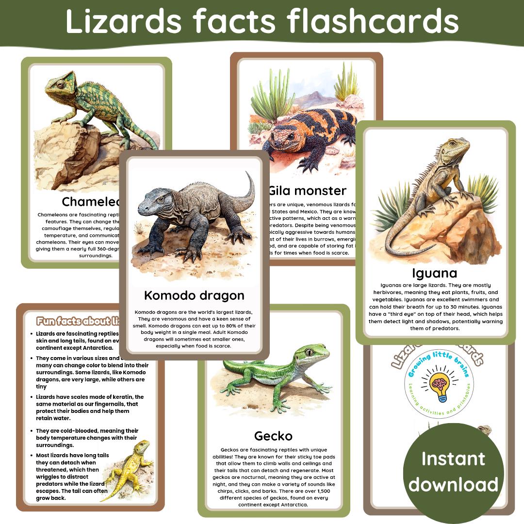 Reptile Fact Cards Australia
