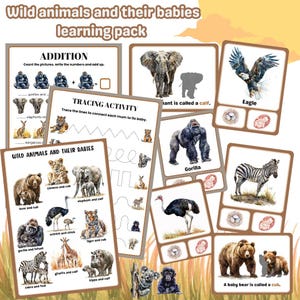 Nel pacchetto didattico sugli animali selvatici e i loro cuccioli / primavera / schede di attività / schede con clip / schede di abbinamento delle ombre / materiale digitale stampabile
