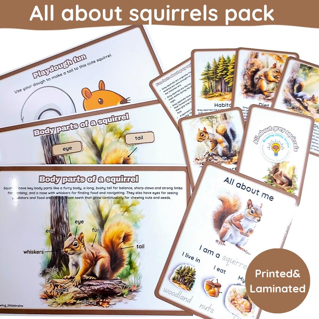 All About Squirrel Learning Pack | Grey Squirrel | Anatomy of a ...