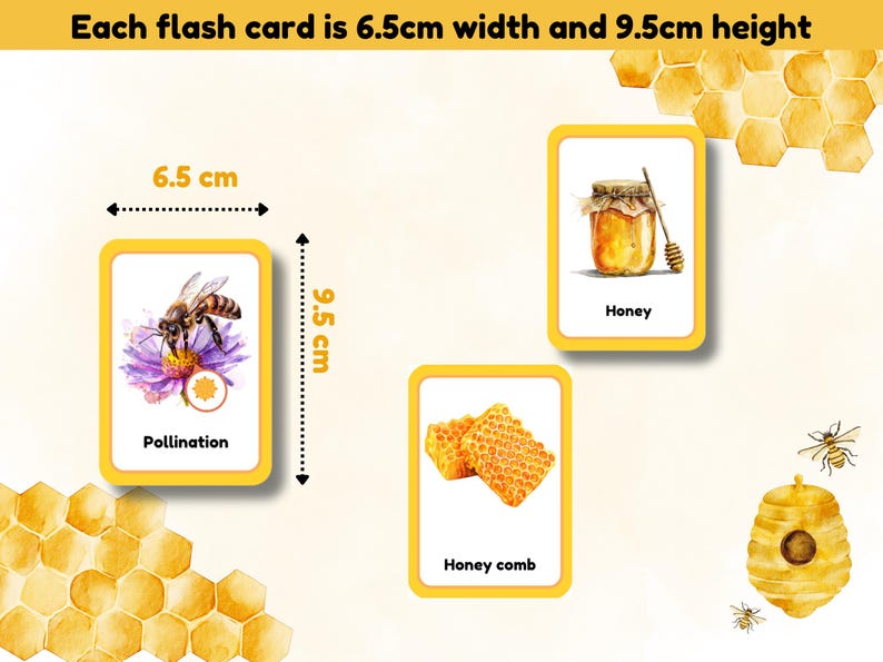 Flash Cards Pollination Honey Bee Study Bundle | Pollination | Beehive | Beekeeper | Flashcards ...