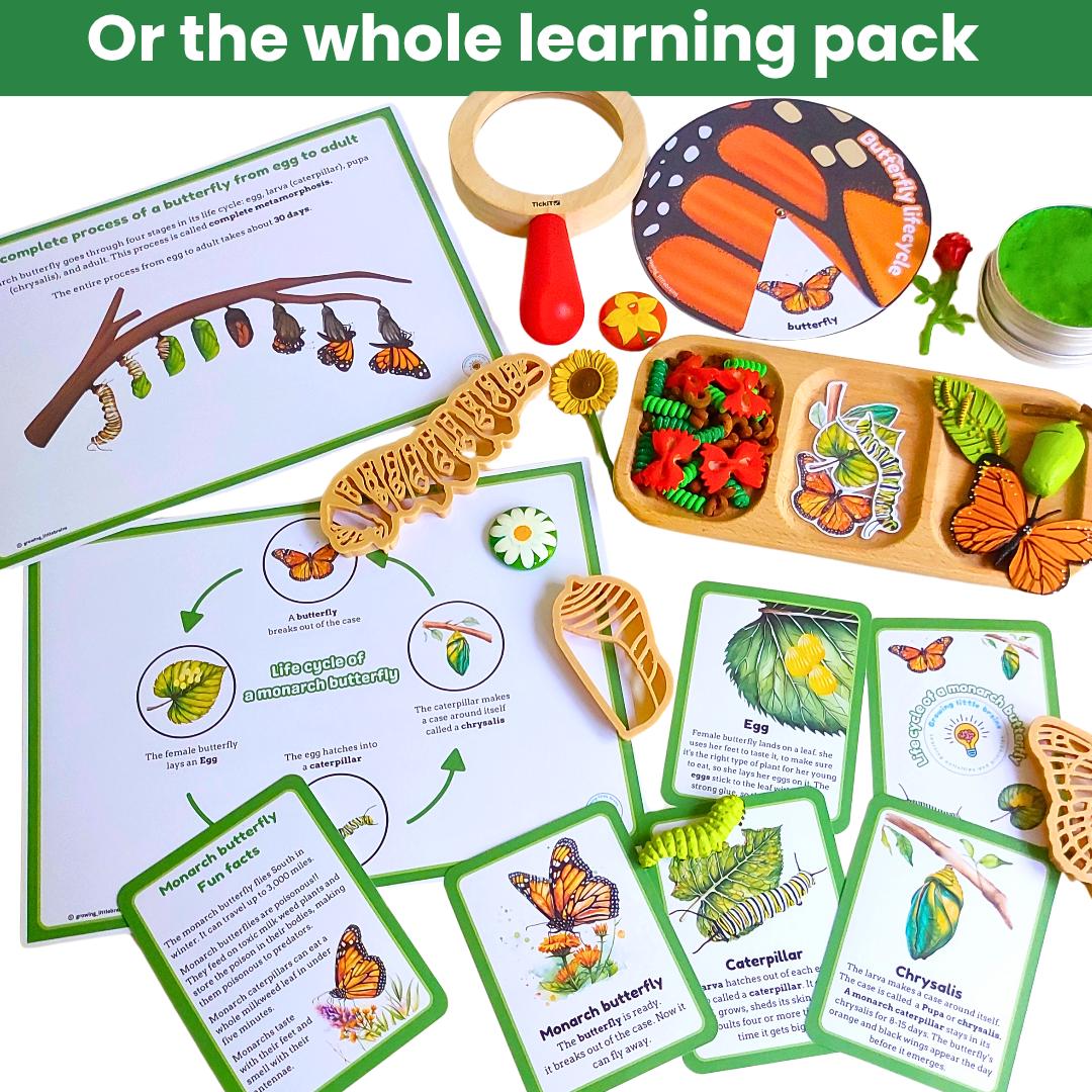 Life Cycle of a Butterfly Learning Pack | Flashcards | Lifecycle Wheel ...