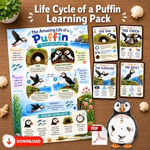 Life Cycle of a Puffin Learning Pack | Life Cycle Activities | Bird Study Unit | Homeschool | Digital download