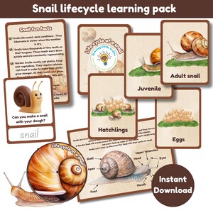 Pacchetto didattico sul ciclo vitale della lumaca / schede didattiche / ruota del ciclo vitale / anatomia di una lumaca / curiosità sulla lumaca / carta dell'impasto / stampabili digitali