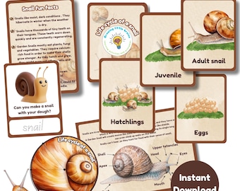 Paquete de aprendizaje sobre el ciclo de vida del caracol