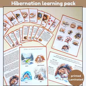 Lernpaket Winterschlaf | Winter | 20 Karteikarten | A4 Poster und Aktivitätsblatt | Aquarell Illustrationen | gedruckt und laminiert