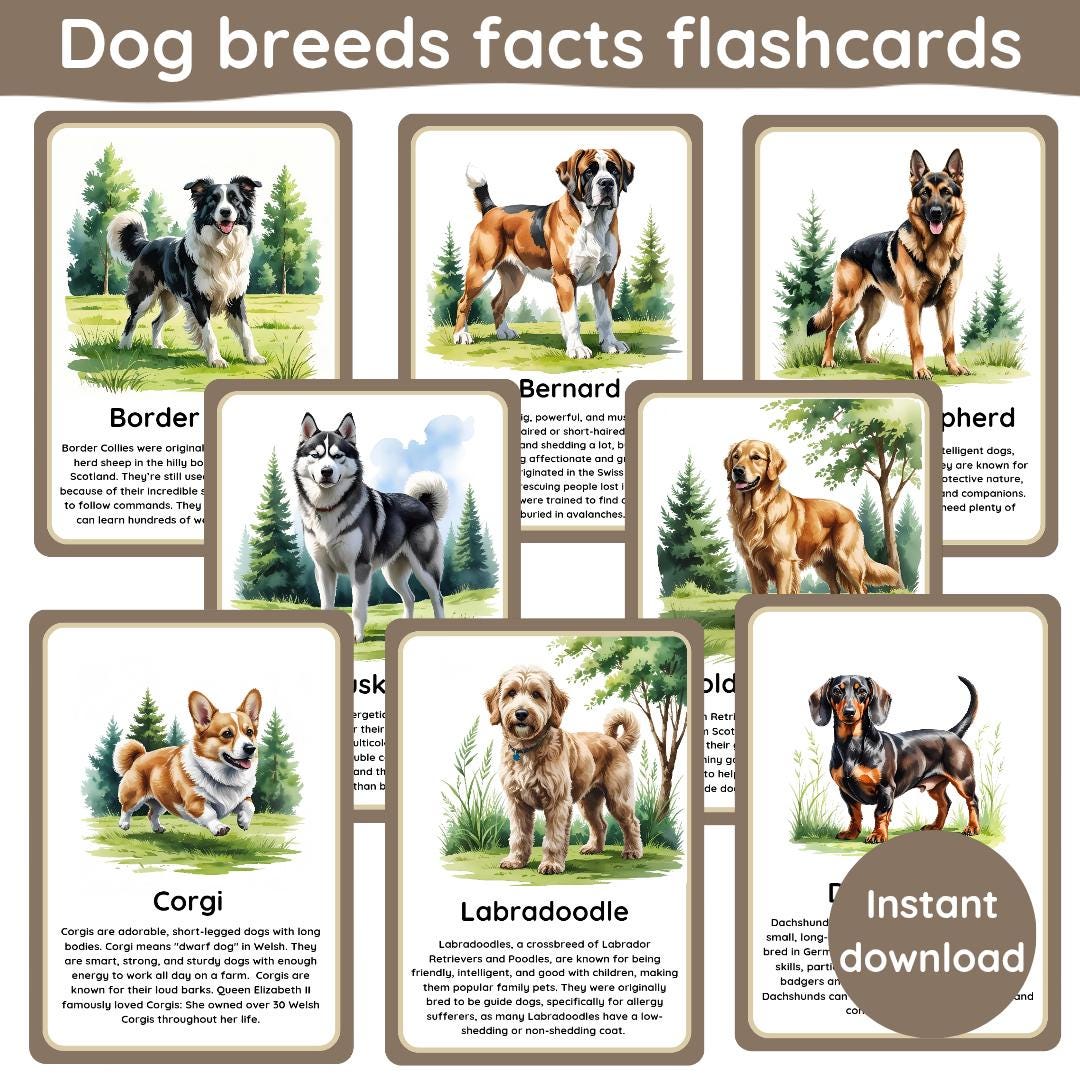 dog-breeds-facts-flashcards-19-flashcards-plus-cover-dogs