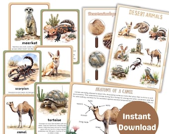 Desert animals learning pack | 12 facts flashcards | activity sheets | anatomy of camel and meerkat | digital printables