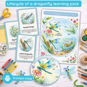 Lifecycle of a dragonfly | pond life  | anatomy | lifecycle | fun facts | physical, wipe clean