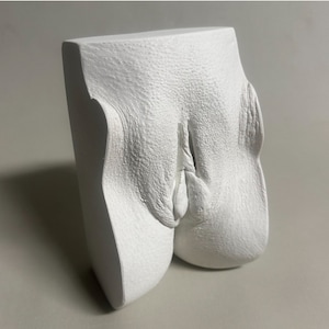 Vulvaabdruck von N.G. #1. „Yoni“ Skulptur von einem professionellen Künstler und Bildhauer in der Nähe von San Francisco.