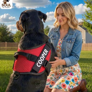 Colete personalizado para cães com nome à sua escolha, colete refletor anti-puxão, colete acolchoado e ajustável para cães de pequeno e grande porte.