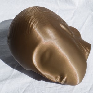 3D-gedruckte Reproduktion der schlafenden Muse-Skulptur von Constantin Brancusi Bild 8