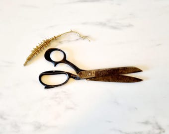 May include: An antique pair of scissors with dark handles and aged, rusty blades. A gold-colored, decorative sprig is positioned near the scissors. The items are set against a white marble background.