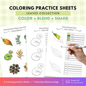 May include: Coloring practice sheets from the Leaves Collection featuring Color, Blend, and Shade text. The pages include a coloring reference sheet with various illustrated leaves, outline sheets for practice, and a sheet with color swatches.