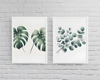 Set 2 botanical illustrations: eucalyptus and monstera. Home, office decoration.