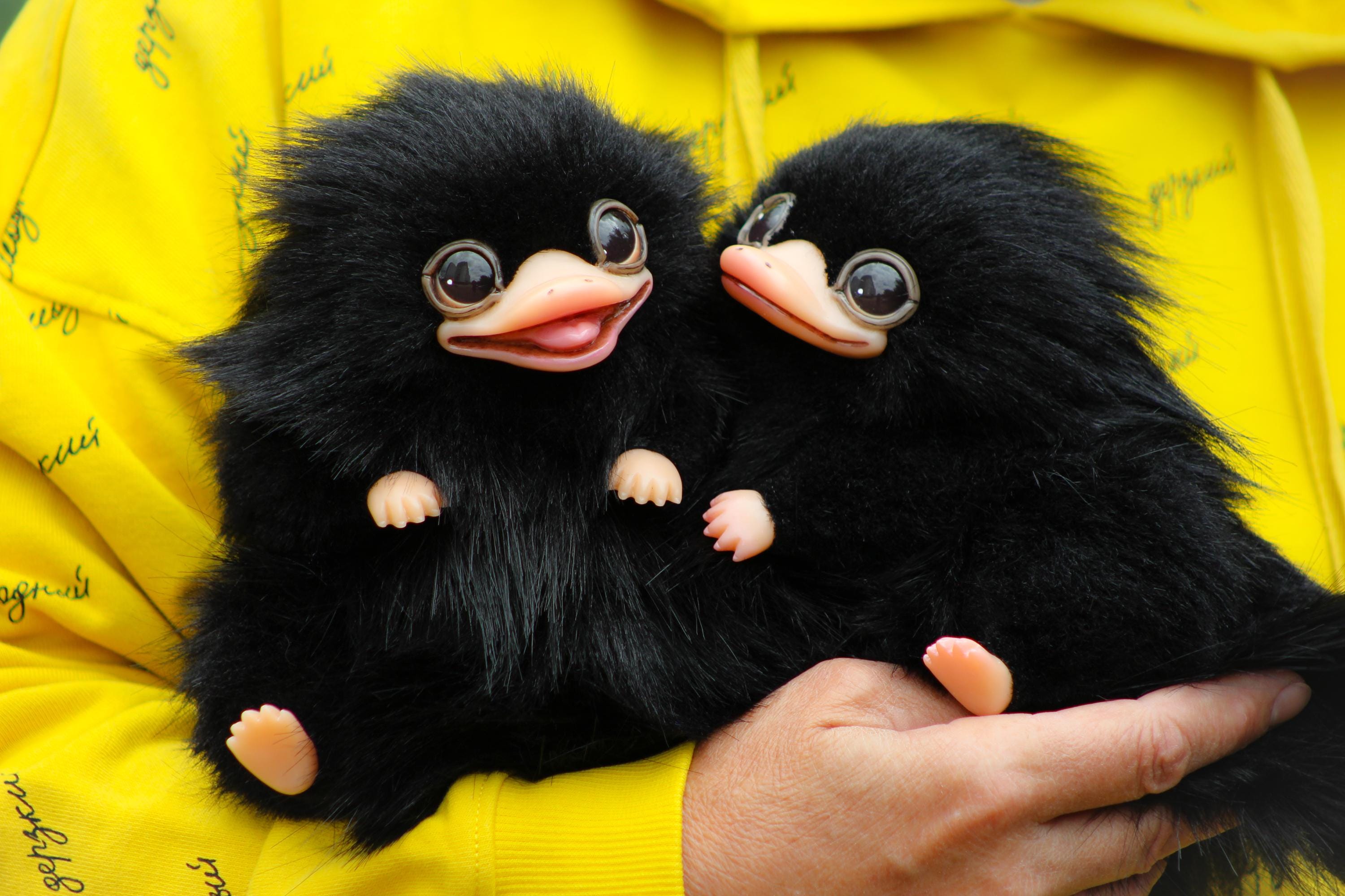 Nifflers - Etsy 日本