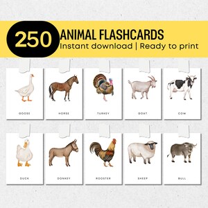 250 Animal Flashcards for Kids | Printable Animal Cards | Toddler Activity | Homeschool Learning Montessori Cards | PDF Digital Download