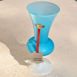 Paire de vases en opaline bleue, XIXe siècle