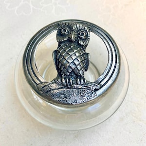 Op de afbeelding: Een heldere glazen kom met een decoratieve zilverkleurige uil die op een tak zit. De uil heeft getextureerde veren en zit in een cirkelvormig frame. De kom staat op een wit oppervlak.