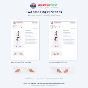 Natural and Inward stance sheets, with enlarged foot details showing the outward and inward foot directions. Both are standing variations of Parallel Stance.