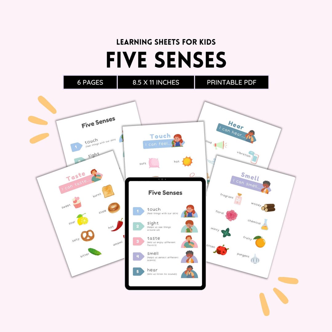 5 Senses, Five Senses, 5 Senses Printable, Five Senses Sorting, 5 ...