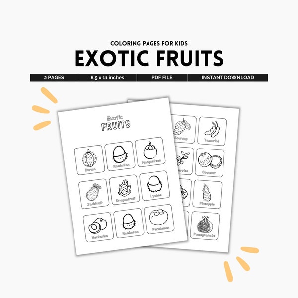 Exotic Fruits, Tropical Fruits, Exotic Plants, Food Illustration, Summer Fruits, Fruit Poster, Montessori Material, Science Subject PDF File