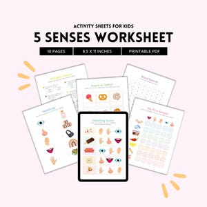 5 Senses Worksheets Printable | Color PDF | Science Activity Pack | Preschool & Kindergarten Learning | Homeschool Worksheets