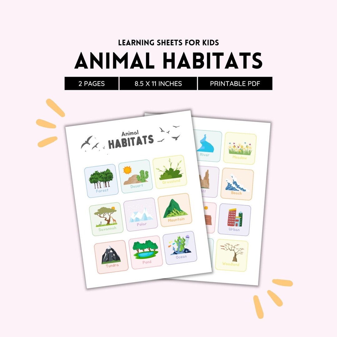 Animal Habitats, Animal Kingdom, Teacher Resources, Coloring Page, Home