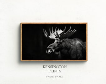 Moose Photo for Samsung Frame TV: Black and White Wildlife Art (Digital Download)